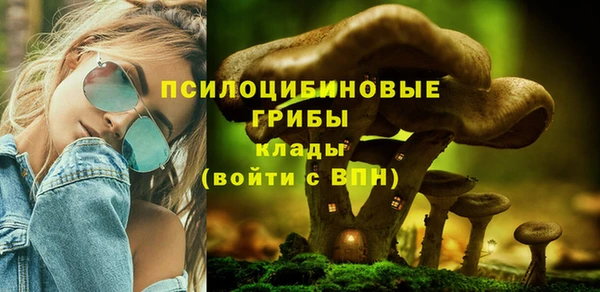 спайс Медвежьегорск