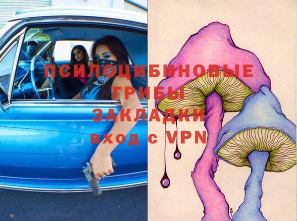 спайс Медвежьегорск